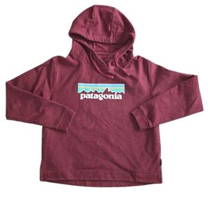 Patagonia Women's Burgundy Red Hoodie with Mountain Logo Size M